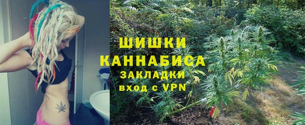 трава Снежинск