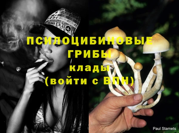 хмурый Слюдянка