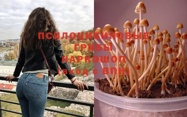 mix Снежногорск